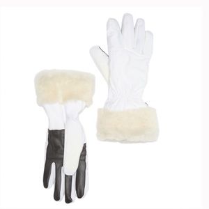 Ugg Gloves